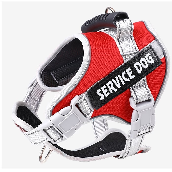 Pet Leash Pet