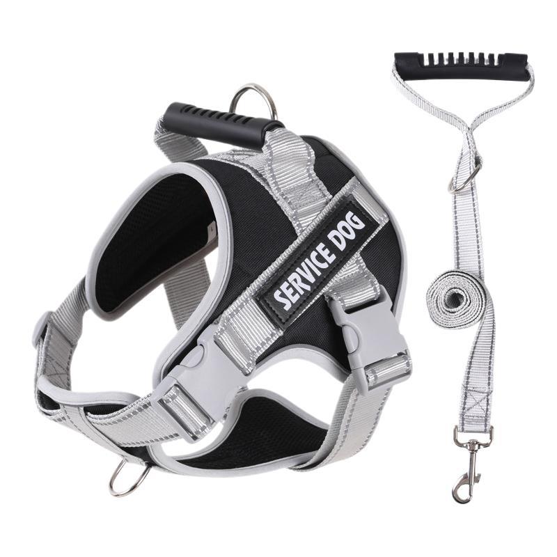 Pet Leash Pet