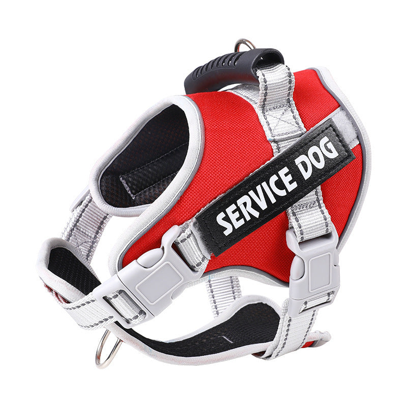 Pet Leash Pet