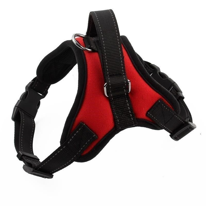 Dog leash, dog chain, chest harness