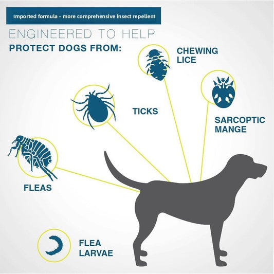 Pet Insect Repellent Collar for Cats and Dogs ? Flea & Mosquito Protection