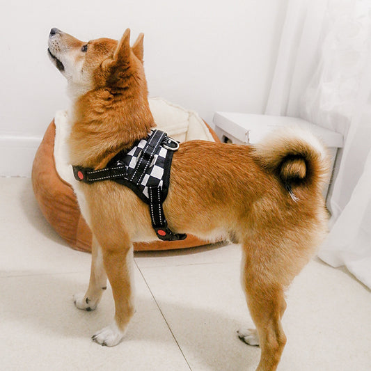 Explosion medium and large dog pet dog saddle chest strap explosion proof Teddy Koji gold hair Samo dog supplies