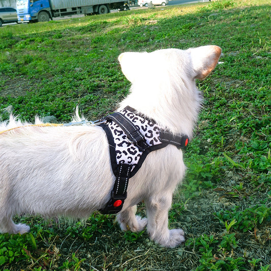 Explosion medium and large dog pet dog saddle chest strap explosion proof Teddy Koji gold hair Samo dog supplies