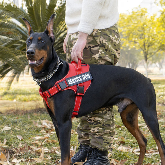 Adjustable Reflective Dog Vest Harness for Medium to Large Dogs